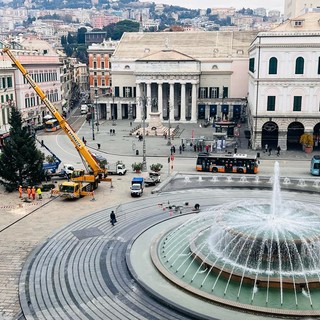 Natale a Genova, alle 17.20 l'accensione del grande albero in piazza De Ferrari