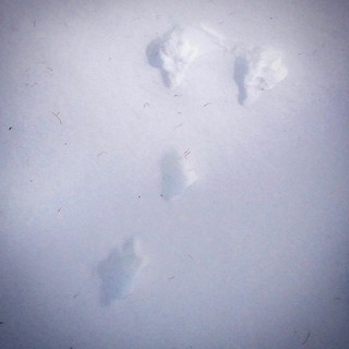 A caccia di tracce sui sentieri del Beigua Geopark