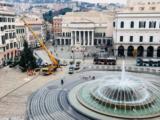 Natale a Genova, alle 17.20 l'accensione del grande albero in piazza De Ferrari Natale a Genova, alle 17.20 l'accensione del grande albero in piazza De Ferrari
