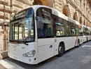 Amt, prorogate sino al 31 ottobre le gratuità per Under 14 e Over 70 Amt, prorogate sino al 31 ottobre le gratuità per Under 14 e Over 70