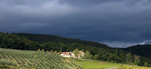 Boom di prenotazioni negli agriturismi per l'Immacolata: oltre 420 mila italiani scelgono relax e buona tavola nel ponte Boom di prenotazioni negli agriturismi per l'Immacolata: oltre 420 mila italiani scelgono relax e buona tavola nel ponte