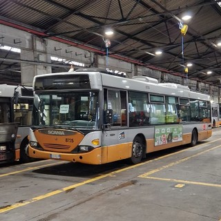 Amt, dal 31 luglio riprogrammato il servizio serale delle linee 1, 9 e 13 Amt, dal 31 luglio riprogrammato il servizio serale delle linee 1, 9 e 13