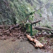 La frana in via delle Fabbriche (Foto: Facebook) La frana in via delle Fabbriche (Foto: Facebook)