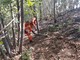 Prevenzione degli incendi boschivi, alle Aree Interne liguri oltre 2 milioni per opere di mitigazione del rischio