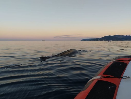 Foto pagina Facebook associazione &quot;Menkab: il respiro del mare&quot;