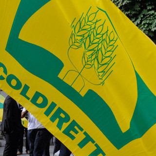 Consumi, passo storico per Coldiretti: il 6 novembre i cibi sintetici alla Camera per voto finale