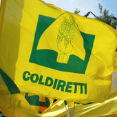 Coldiretti Liguria: "Accordo Coldiretti-ANCI, un modello concreto anche per i territori liguri" Coldiretti Liguria: "Accordo Coldiretti-ANCI, un modello concreto anche per i territori liguri"