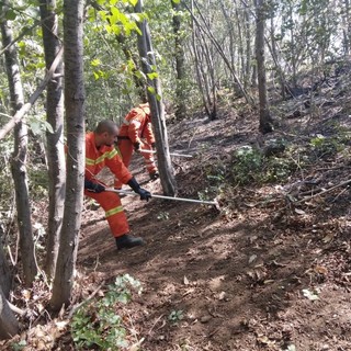 Prevenzione degli incendi boschivi, alle Aree Interne liguri oltre 2 milioni per opere di mitigazione del rischio
