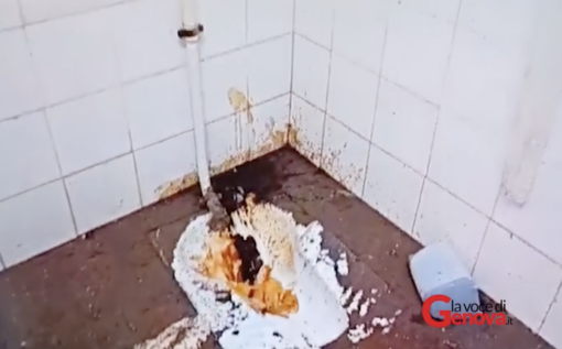 Caricamento, bagni inservibili: le vergognose condizioni dei servizi igienici riservati al personale di Amt (video) Caricamento, bagni inservibili: le vergognose condizioni dei servizi igienici riservati al personale di Amt (video)
