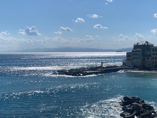 BOEM, il 2 e 3 luglio a Bogliasco spiaggia e molo si trasformano in palchi sul mare