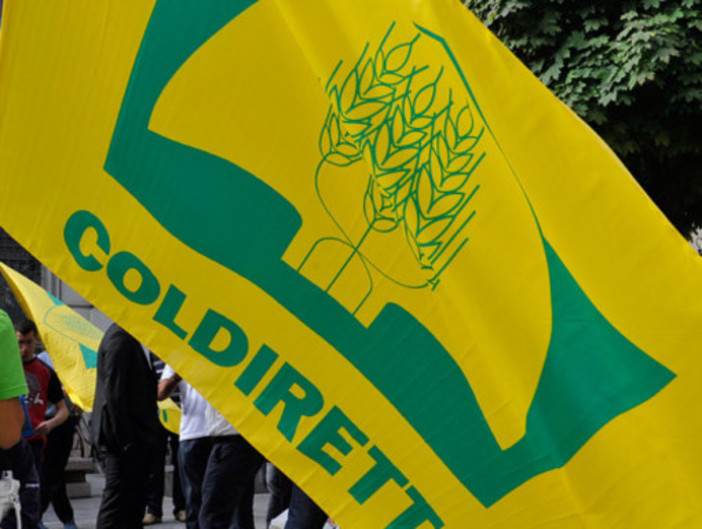 Coldiretti: &quot;Alla festa della mamma stravincono i fiori liguri&quot;