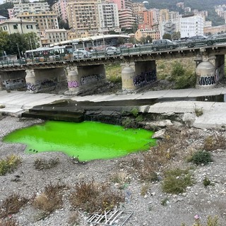 A Marassi il Bisagno si colora di verde, cittadini preoccupati, ma è un colorante non inquinante