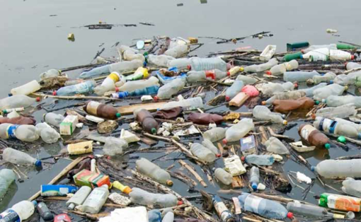 Impatto ambientale, Coldiretti: "Ridurre il consumo di plastica per salvare l’ambiente"