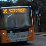 Via Fanti d’Italia, pugni sul vetro del bus e minacce all’autista del 36: interviene la polizia Via Fanti d’Italia, pugni sul vetro del bus e minacce all’autista del 36: interviene la polizia