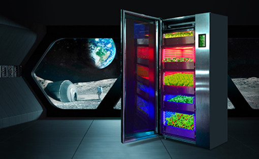 Coltivare in orbita per un pesto ‘spaziale’, il futuro delle missioni è nelle piante Coltivare in orbita per un pesto ‘spaziale’, il futuro delle missioni è nelle piante