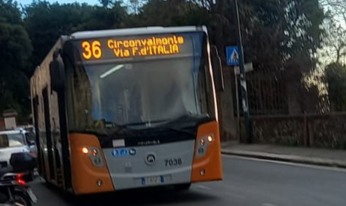 Via Fanti d’Italia, pugni sul vetro del bus e minacce all’autista del 36: interviene la polizia Via Fanti d’Italia, pugni sul vetro del bus e minacce all’autista del 36: interviene la polizia