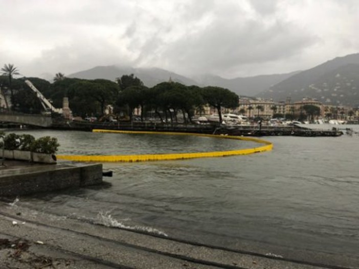 Rapallo, macchia oleosa alla foce del Boate, il Comune: "Per il momento nessun divieto di balneazione"
