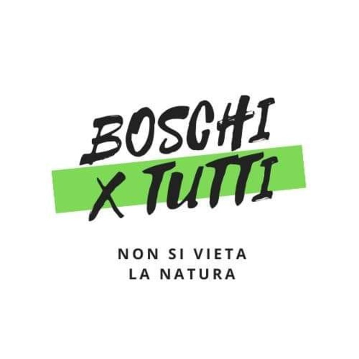 Peste suina, spauracchio lockdown. Boschi per tutti: "Pronti a contrastare con ogni mezzo"