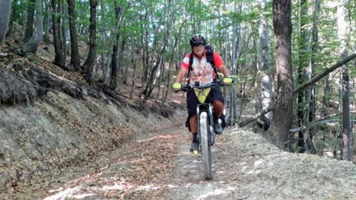 Peste suina, una petizione per fermare il lockdown dei boschi liguri: "No a deroghe o altre misure" Peste suina, una petizione per fermare il lockdown dei boschi liguri: "No a deroghe o altre misure"