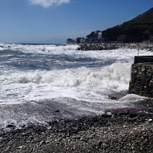Recco, proseguono gli interventi di pulizia della costa Recco, proseguono gli interventi di pulizia della costa
