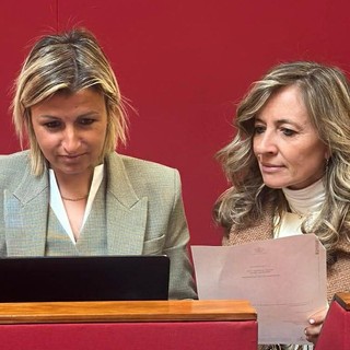 Foto Facebook Bordilli