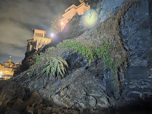 Crollo della falesia a Bogliasco, l’allarme dei geologi: “La costa ligure è fragile, servono interventi strutturali e una vera pianificazione” Crollo della falesia a Bogliasco, l’allarme dei geologi: “La costa ligure è fragile, servono interventi strutturali e una vera pianificazione”
