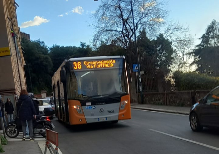 Caos in Circonvallazione: frenata brusca sul bus 36, due donne ferite e traffico paralizzato