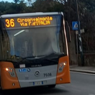 Via Fanti d’Italia, pugni sul vetro del bus e minacce all’autista del 36: interviene la polizia Via Fanti d’Italia, pugni sul vetro del bus e minacce all’autista del 36: interviene la polizia