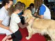 Pet therapy al Gaslini, 100 bambini coinvolti dalla ripresa delle attività a novembre
