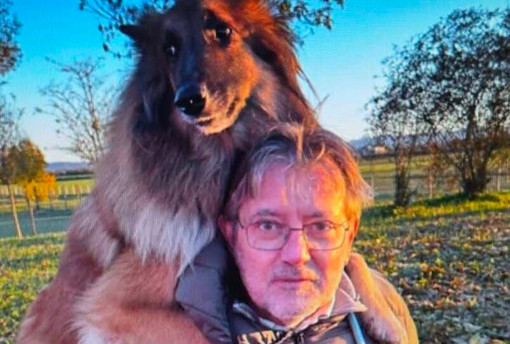 Champoluc, riprese le ricerche di Enrico Bonetti: trovato il cane del turista ligure disperso Champoluc, riprese le ricerche di Enrico Bonetti: trovato il cane del turista ligure disperso