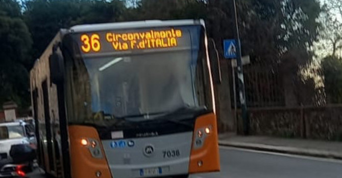 Via Fanti d’Italia, pugni sul vetro del bus e minacce all’autista del 36: interviene la polizia Via Fanti d’Italia, pugni sul vetro del bus e minacce all’autista del 36: interviene la polizia