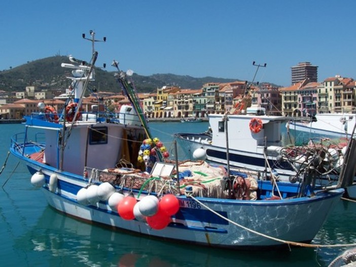 Regione Liguria, il decreto Salva-Pesca non basta: occorrono riforme strutturali Regione Liguria, il decreto Salva-Pesca non basta: occorrono riforme strutturali