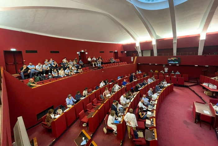 WWF escluso dalla commissione su Amt, associazioni all’attacco: “Gravissimo precedente: non è mai successo" WWF escluso dalla commissione su Amt, associazioni all’attacco: “Gravissimo precedente: non è mai successo"