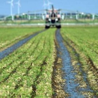 PSR 2014-2020: Ok di Agea su obiettivi di spesa di Regione Liguria