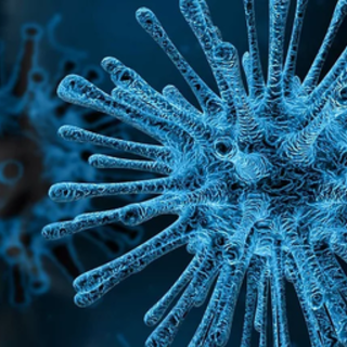 Coronavirus, l'appello a unità e senso di responsabilità delle associazioni di categoria