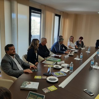 Tutto pronto per la "Mostra del Fungo" a Ceva, Bertino, Confcommercio: "Spazio all'entroterra"