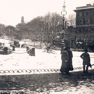 Meraviglie e leggende di Genova - L’alloro di Natale