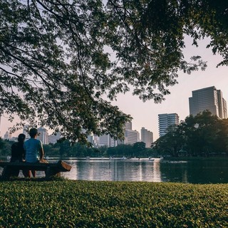 Scopri l'arte e la scienza dell'hashish: una guida completa con charas