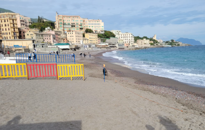 Donna morsa da un cinghiale in spiaggia a Sturla: "Non ho fatto niente per innervosirlo, ero immobile e mi ha aggredita" Donna morsa da un cinghiale in spiaggia a Sturla: "Non ho fatto niente per innervosirlo, ero immobile e mi ha aggredita"