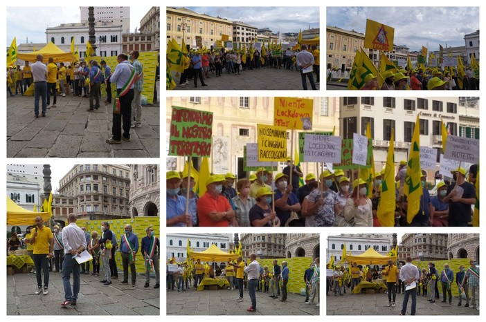 Coldiretti, agricoltori scendono in piazza De Ferrari per protestare contro l'invasione dei cinghiali: "Situazione fuori controllo" (FOTO e VIDEO) Coldiretti, agricoltori scendono in piazza De Ferrari per protestare contro l'invasione dei cinghiali: "Situazione fuori controllo" (FOTO e VIDEO)