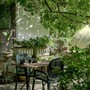 La cura del giardino a fine estate: come proteggere i fiori settembrini dai parassiti d'autunno