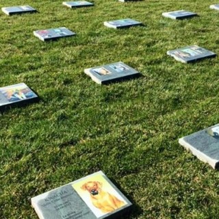 La maggioranza a Tursi: "Anche a Genova un cimitero per gli animali"