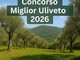 Recco, adesione al concorso "Miglior Uliveto 2026"