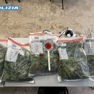 Sestri Ponente, intervengono per un’occupazione abusiva e scoprono un laboratorio di marijuana in casa