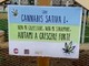 Piantina di cannabis legale ai Luzzati, la Lega: &quot;Venga rimossa&quot;