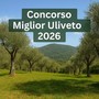 Recco, adesione al concorso "Miglior Uliveto 2026"