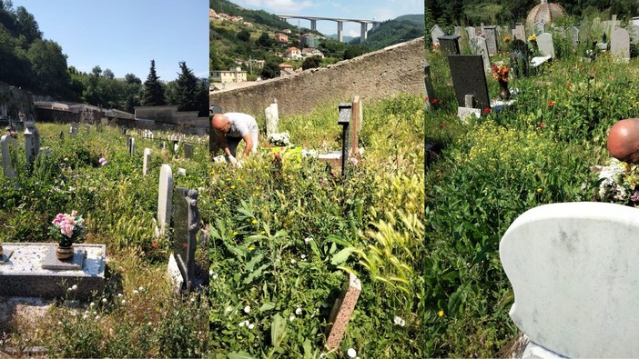 Voltri, erba alta tra le tombe del cimitero Leira: “Situazione vergognosa, non è il modo di tenere un campo di defunti” (foto e video)
