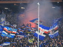 Sampdoria, i tifosi contro la proprietà: "La vostra permanenza non è più accettata né accettabile" Sampdoria, i tifosi contro la proprietà: "La vostra permanenza non è più accettata né accettabile"