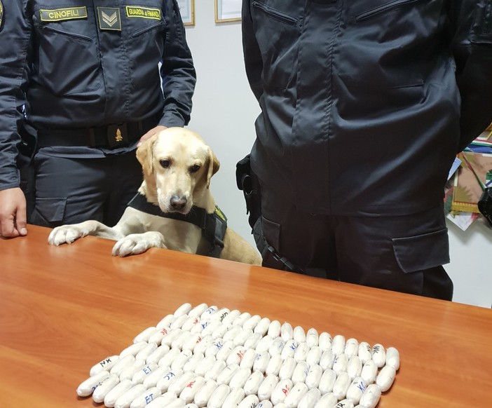 Cani antidroga in azione: sequestrate due spedizioni di eroina e marijuana