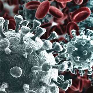 Coronavirus: schizzano nuovamente in alto i nuovi positivi, più 141 in Liguria